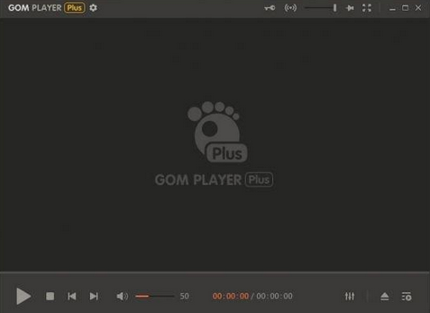 صورة من واجهة برنامج gom player plus